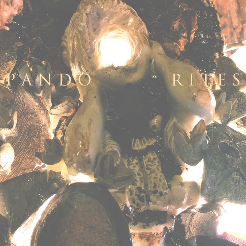 Pando - rites (Album Cover)